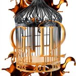 Raven Kennedy Kindle Book Plated Prisoner Series Fantasy-0