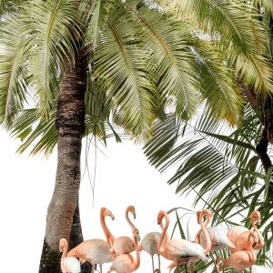 Angustia Hamasaki Kindle Book Photography Art Short Read-0